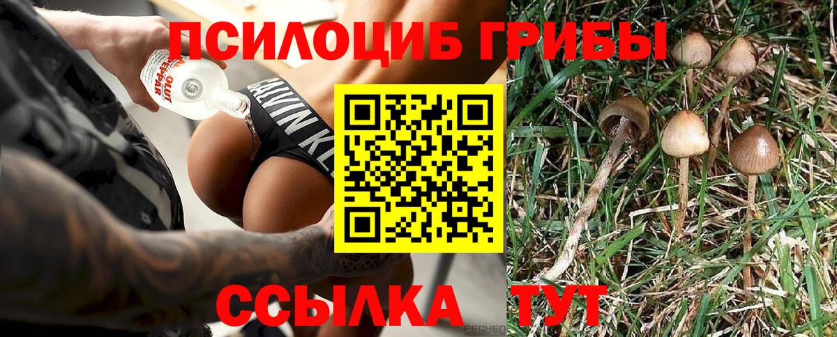 Псилоцибиновые грибы мицелий  Галлюциногенные грибы Psilocybine cubensis  Тавда  Вход с VPN 